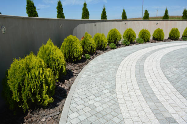 Reasons to Select Us for Your Driveway Paving Requirements in Pine Grove, PA